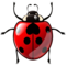 Lady Beetle emoji on Emojidex